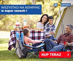 Mrówka