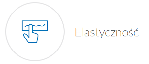 Elastycznosc.PNG