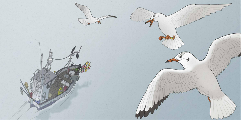Bajka ilustracja mewy nad kutrem