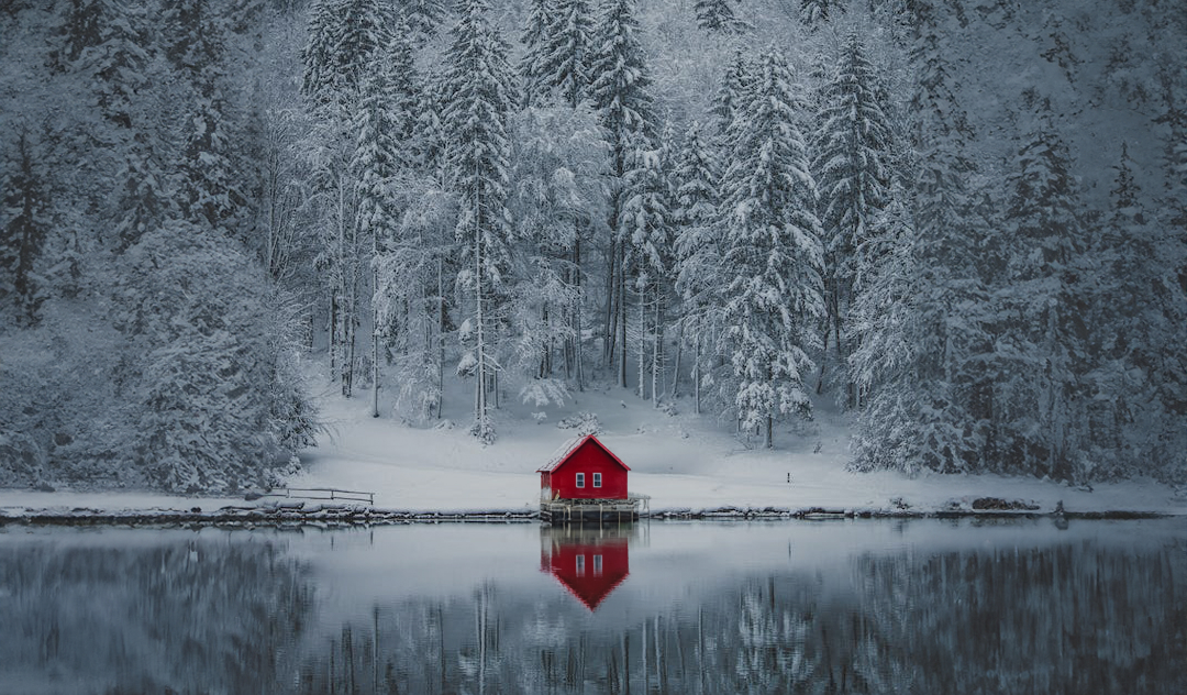 Dom wielorodzinny otoczony drzewami w jesień.