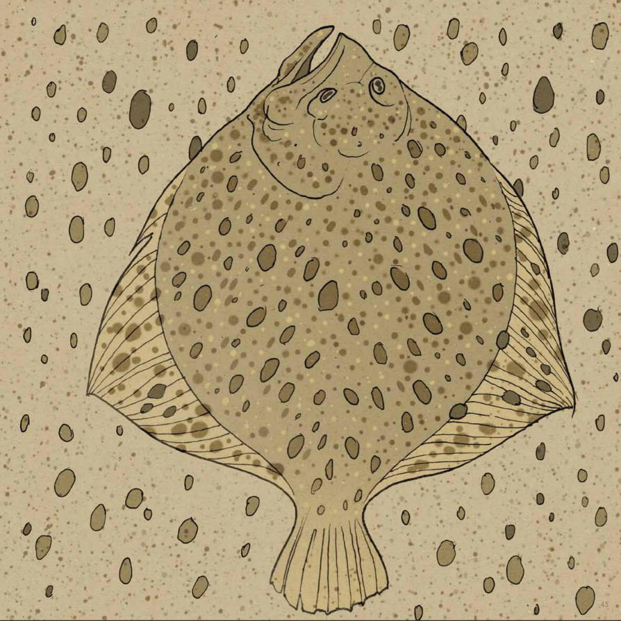 Bajka ilustracja