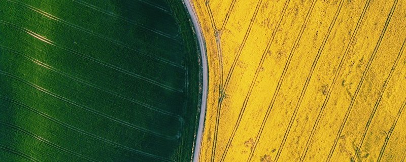 Uprawy rolne objęte ubezpieczeniem