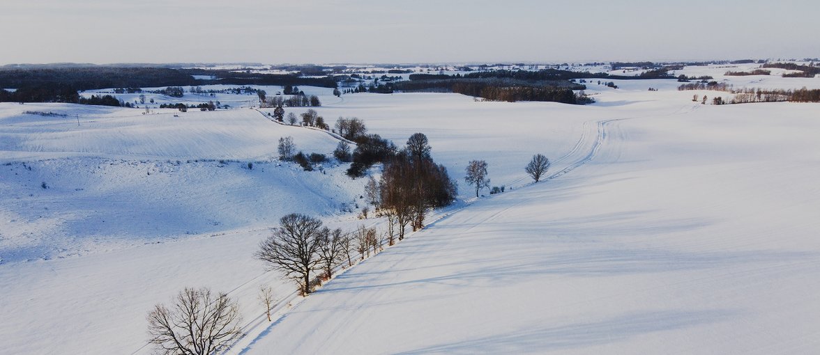 Rolnik dogląda upraw ozimych