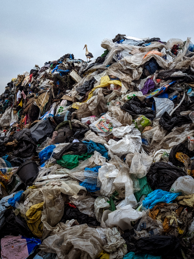 Jan Bielawski zwycięzca konkursu AP