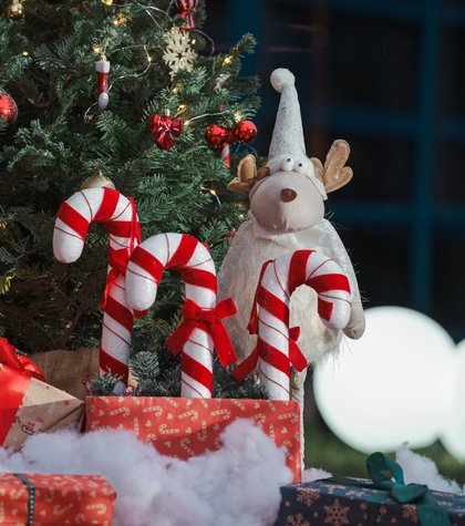 paczki od wolontariuszy