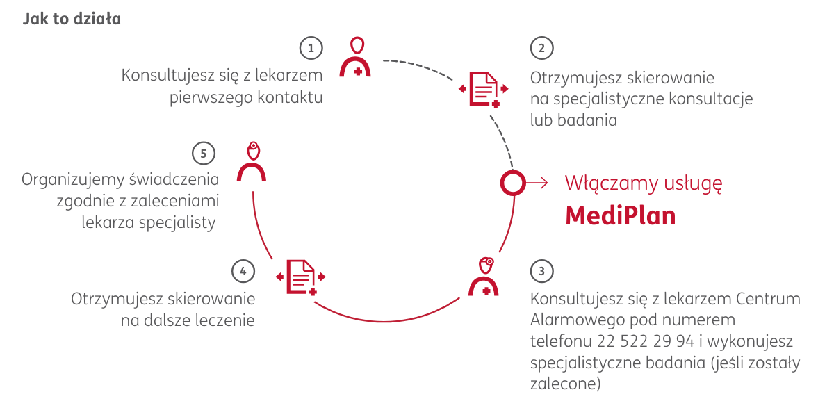 schemat działania Mediplan