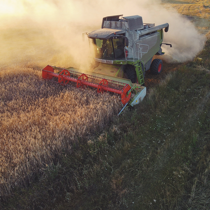 agrocasco