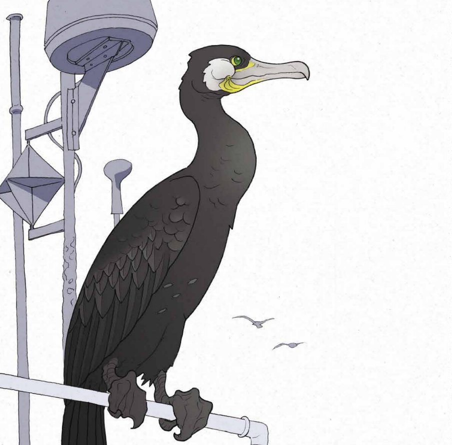 Bajka ilustracja