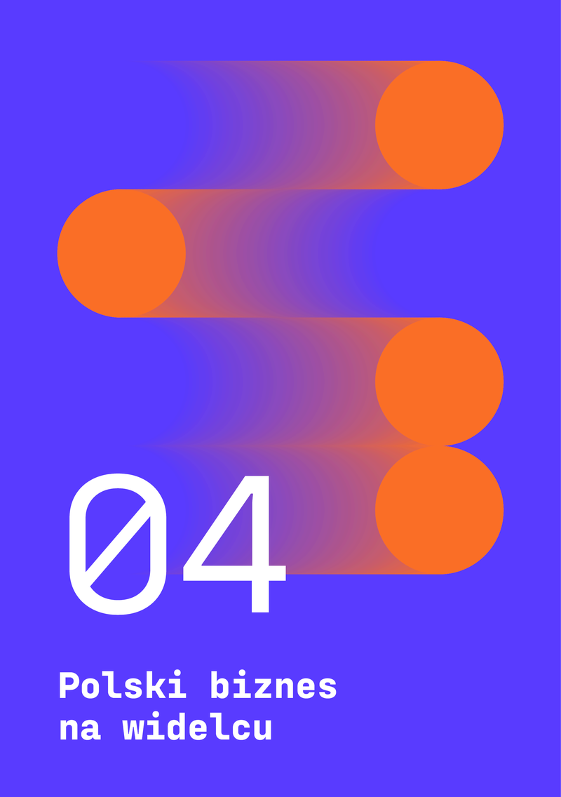 Raport_EH_cyfryzacja_digital57