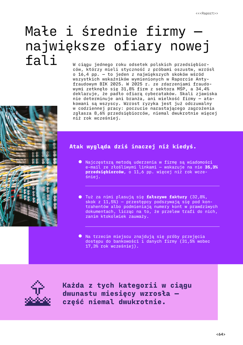 Raport_EH_cyfryzacja_digital64