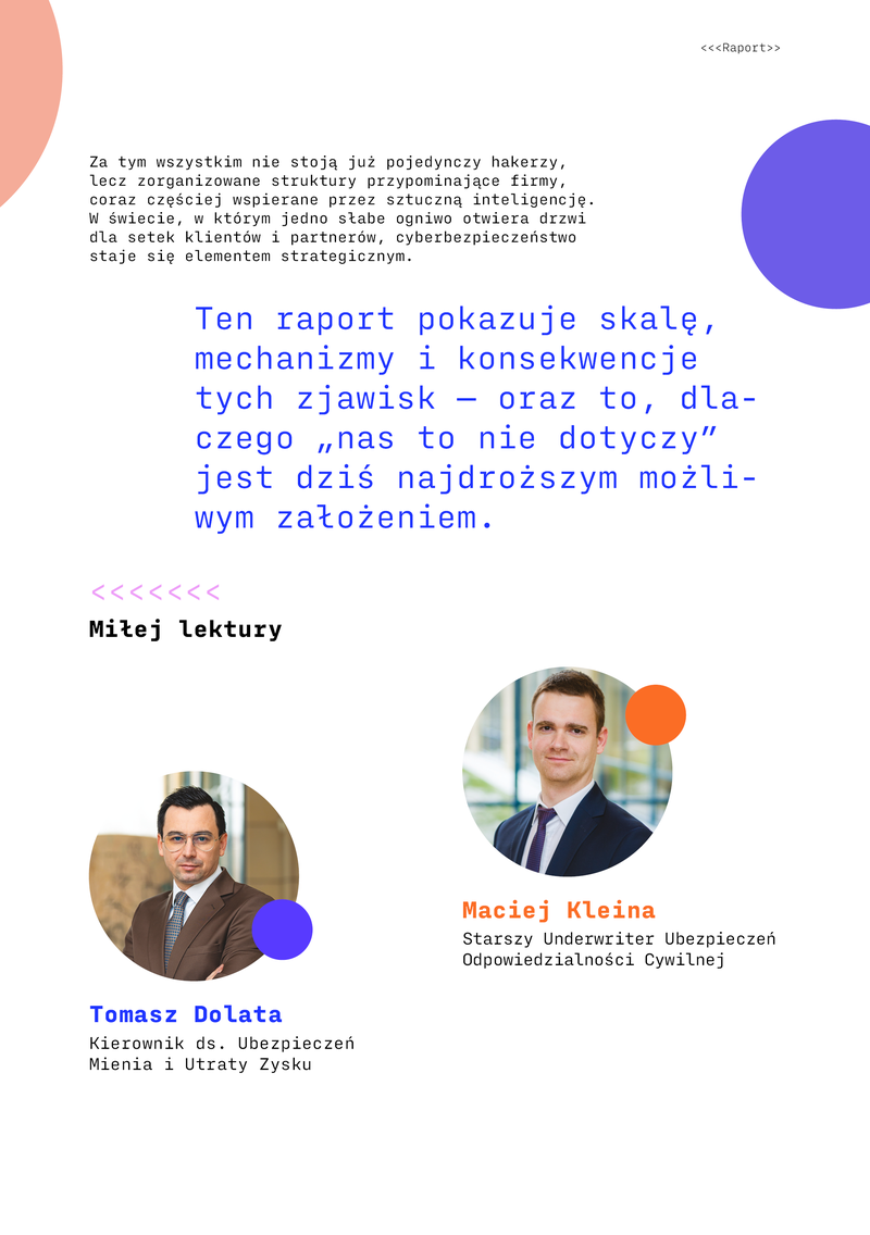 Raport_EH_cyfryzacja_digital6
