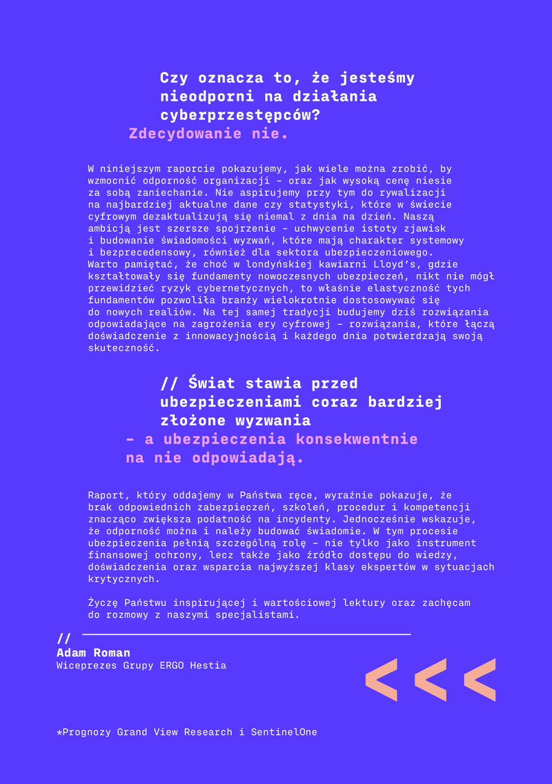 Raport_EH_cyfryzacja_digital4