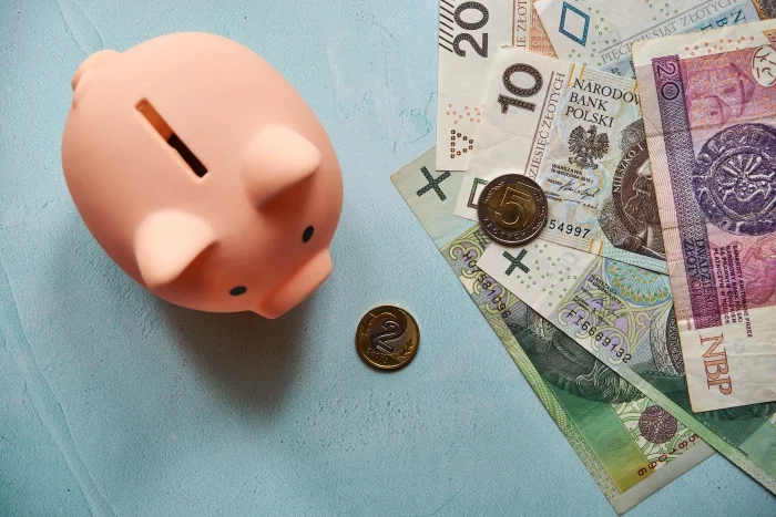 Skarbonka w kształcie świnki z banknotami i monetami na niebieskim tle. Blog