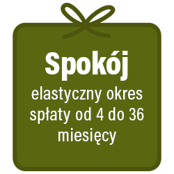 Ikona do pożyczki świątecznej - spokój.