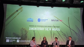 SALTUS Ubezpieczenia mecenasem projektu "Zakorzeńmy się w morzu. Nasadzenia trawy morskiej w Zatoce Puckiej"
