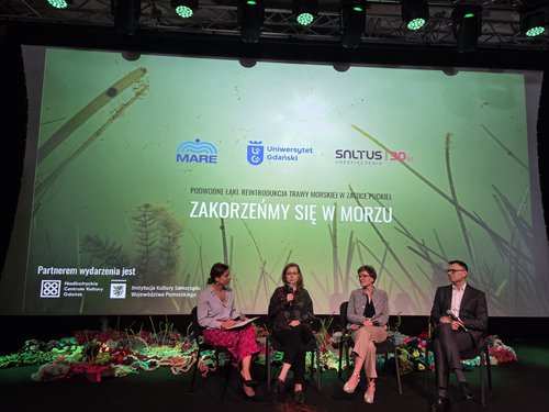 konferencja mare